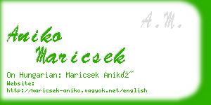 aniko maricsek business card